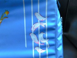 skipper case blue dove bird